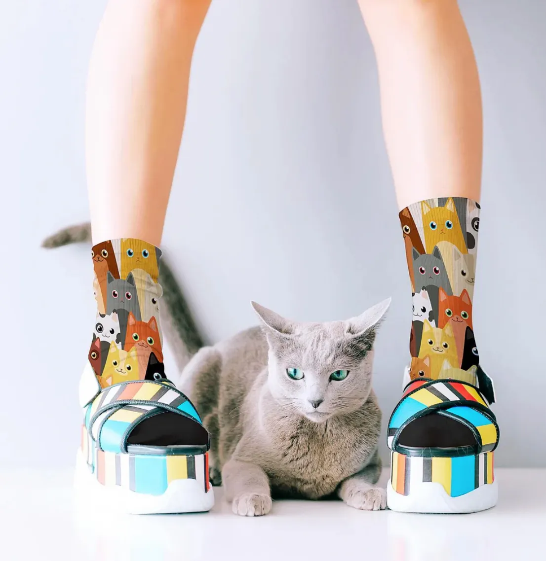 Herding Cats Bamboo Crew Socks