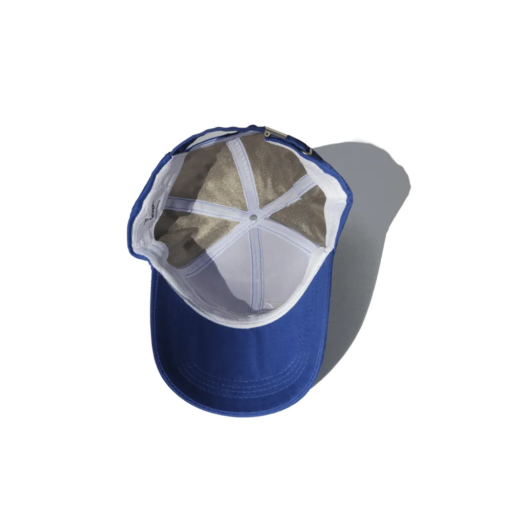 SPERO EMF Protective Silver Lined Baseball Caps